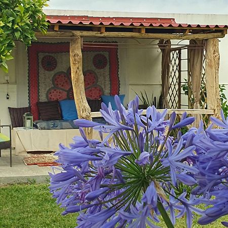 Casinha D'Alice Et Serge Cela Velha Dış mekan fotoğraf